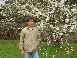 李春华的照片,镜头下的魅力瞬间