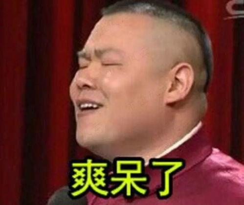 岳云鹏表情包鱼,欢乐瞬间尽在眼前